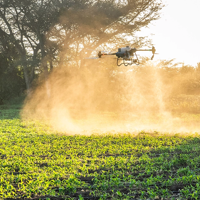 Agricultural drone spraying and crop inspection for data driven farm operations by Nexaro Precision